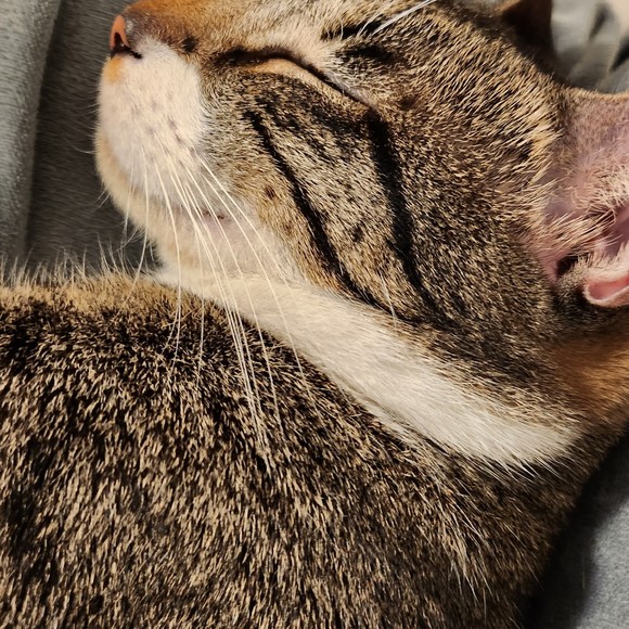 Meet your Posher, Celine - Picture 1 of 1